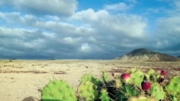 Kamperowanie w rytmie przypływów (cz. 1) - zdjęcie 2